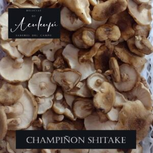 Champiñon Shitake